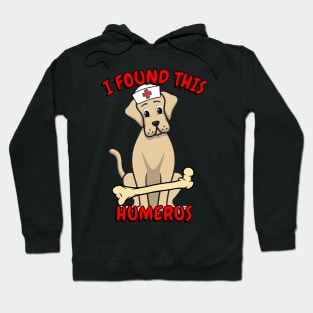 Funny big dog is a nurse with a joke Hoodie